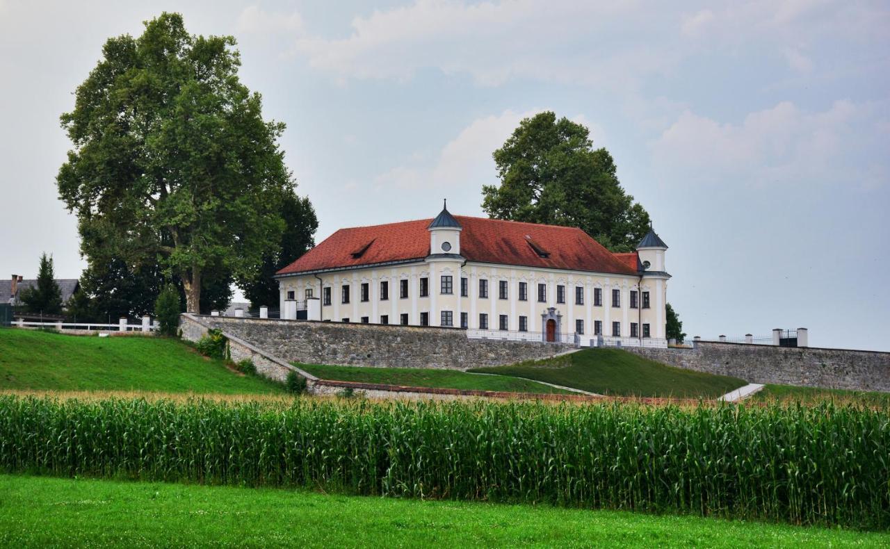 Hotel Baron Smlednik Exterior foto
